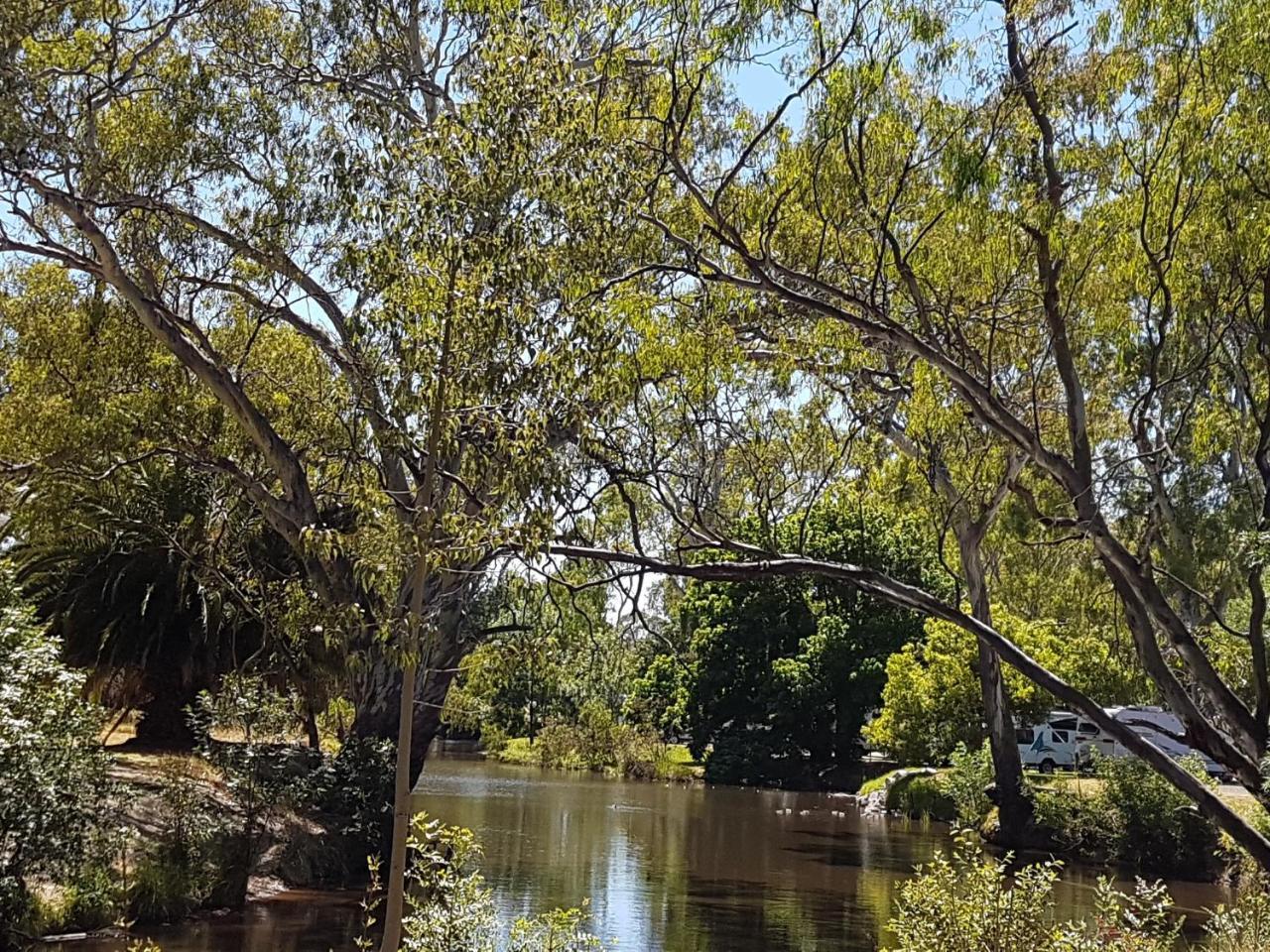 Euroa Caravan Park Hotel Exterior foto